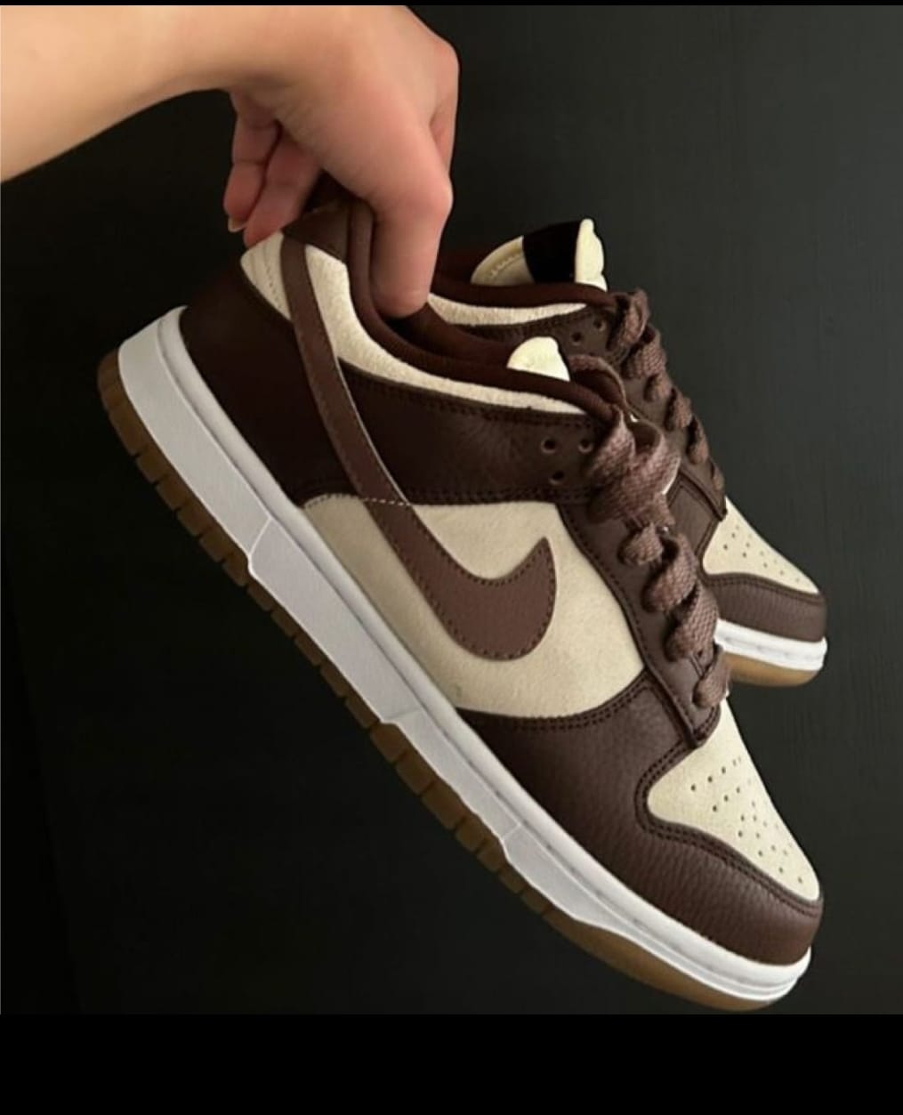Jordan 1 low